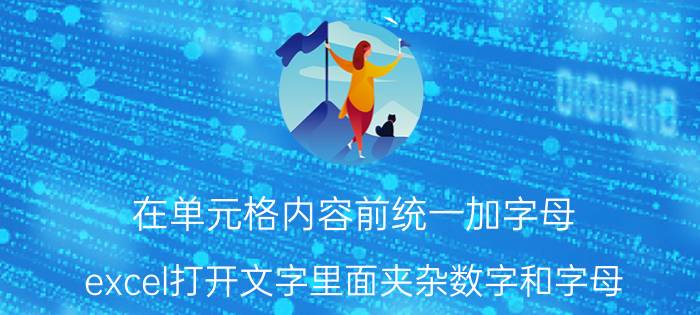 在单元格内容前统一加字母 excel打开文字里面夹杂数字和字母？